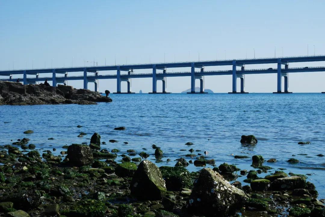 自考十大熱門專業