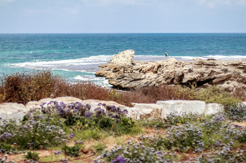 自考本科小學(xué)教育好考嗎?