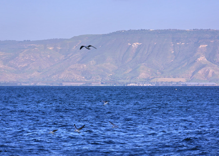 自考刷題好還是背書(shū)?