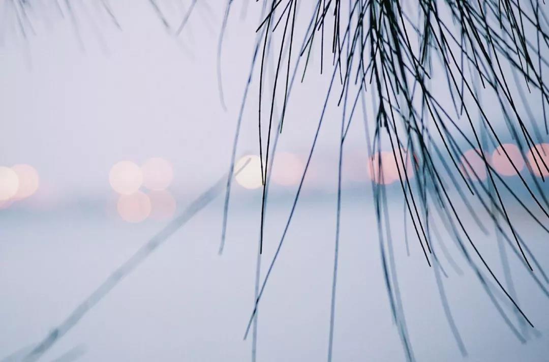 自考往年真題重復(fù)率?