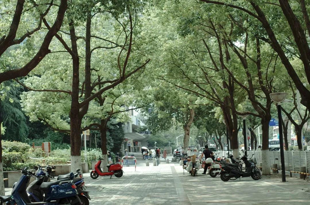 自考本科學士學位有用嗎?