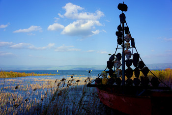 第1學歷和挺高學歷是什么意思?